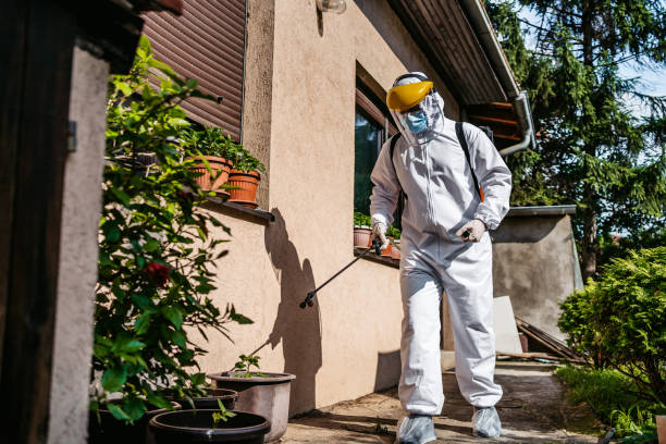 Best Insect Control  in Mp Pendleton South, CA