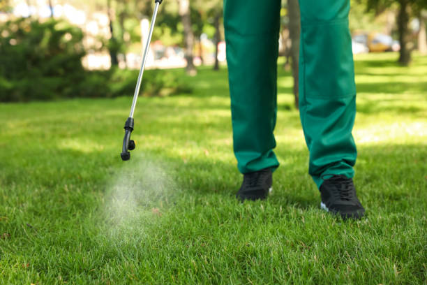 Best Emergency Pest Control  in Mp Pendleton South, CA