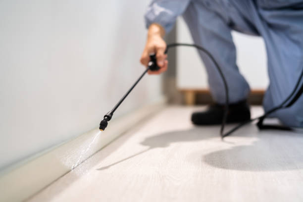 Professional Pest Control in Camp Pendleton South, CA