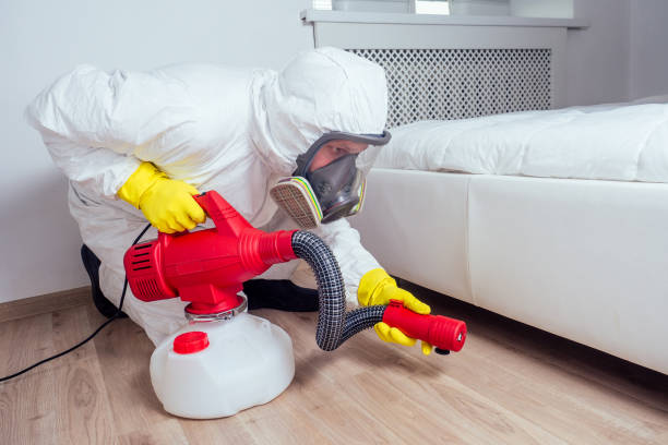 Best Residential Pest Control  in Mp Pendleton South, CA