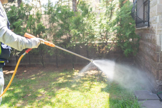 Best Best Pest Control Companies  in Mp Pendleton South, CA