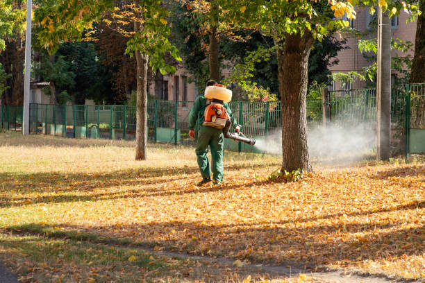 Best Affordable Pest Control Services  in Mp Pendleton South, CA